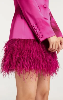 Long Sleeeve Feather Joel Dress