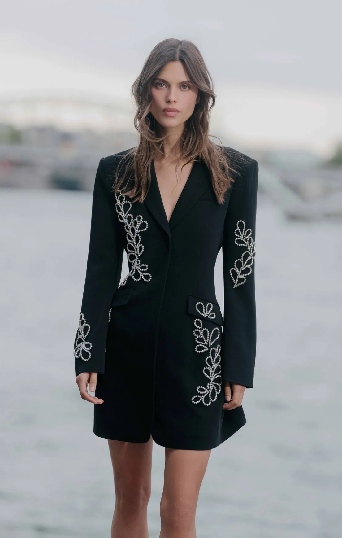 Rhinestone Paisley Long Sleeve Joel Dress